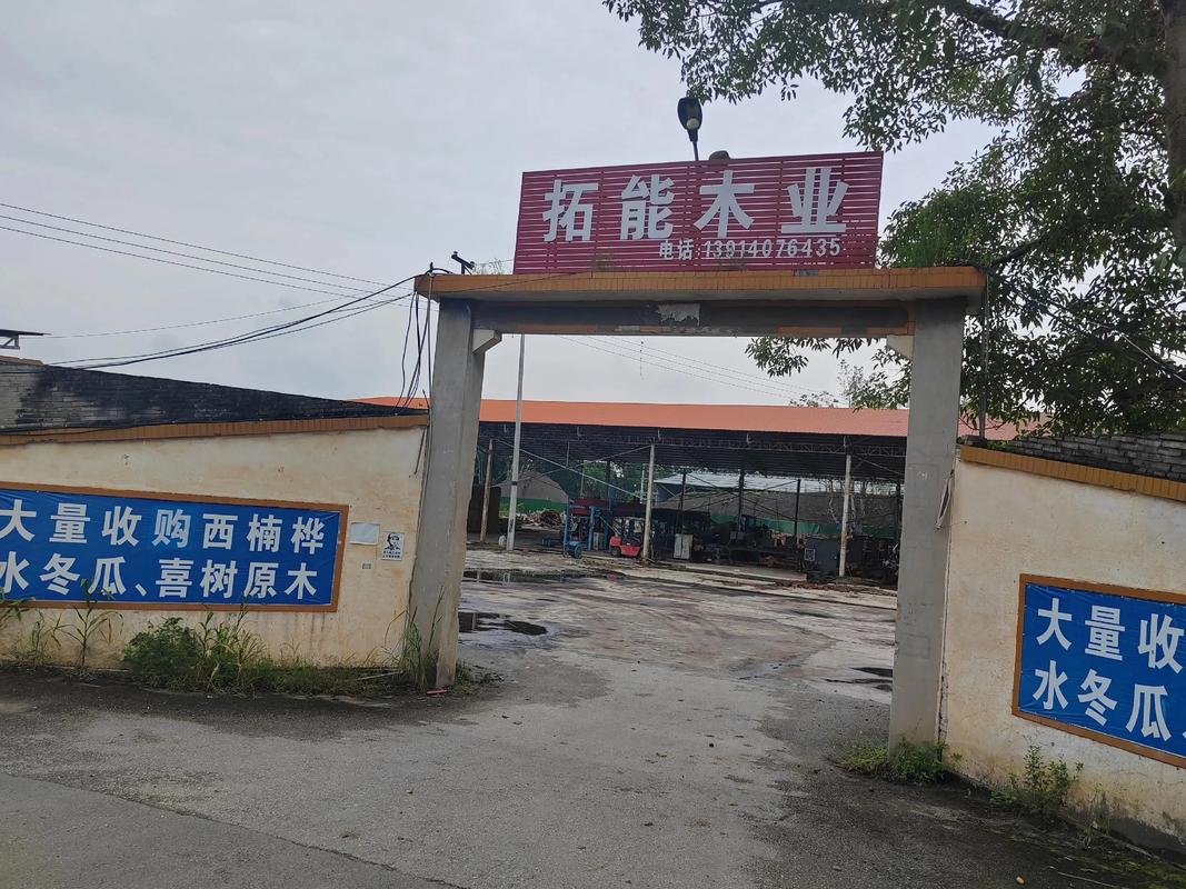 木材加工 ,本厂大量收购喜树,冬瓜木,西楠桦,杂木等原木