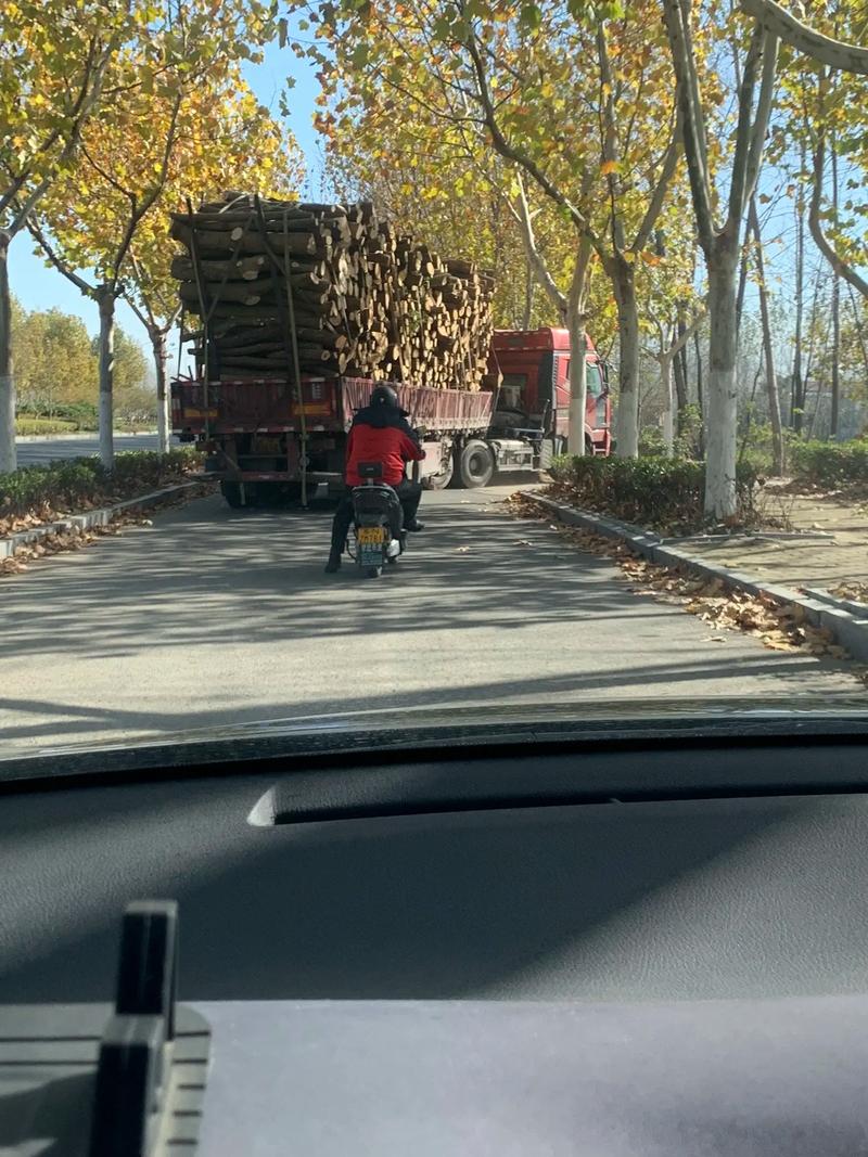 专收那些货到宿迁木材市场卖在一吨400元左右